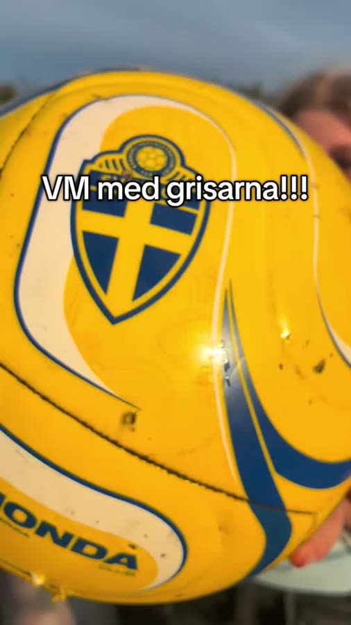 Grisarna sitter bänkade