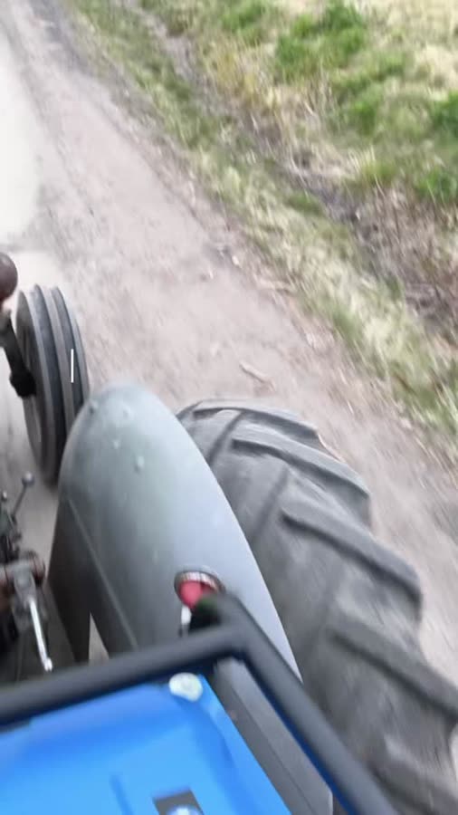 Året med hundra grisar börjar